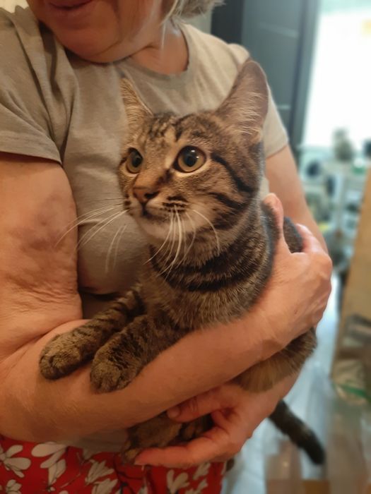 Хлопчик шукає родину!