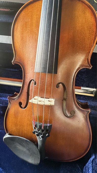Viola Stentor II Nova