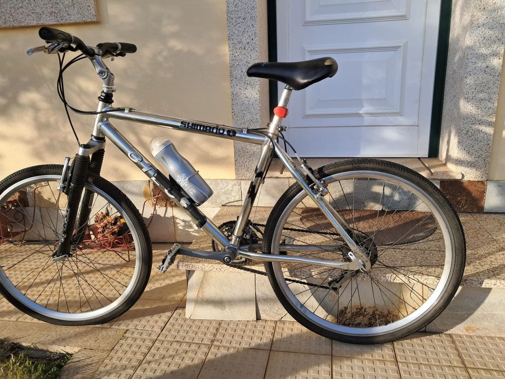 Bicicleta Otec bom estado