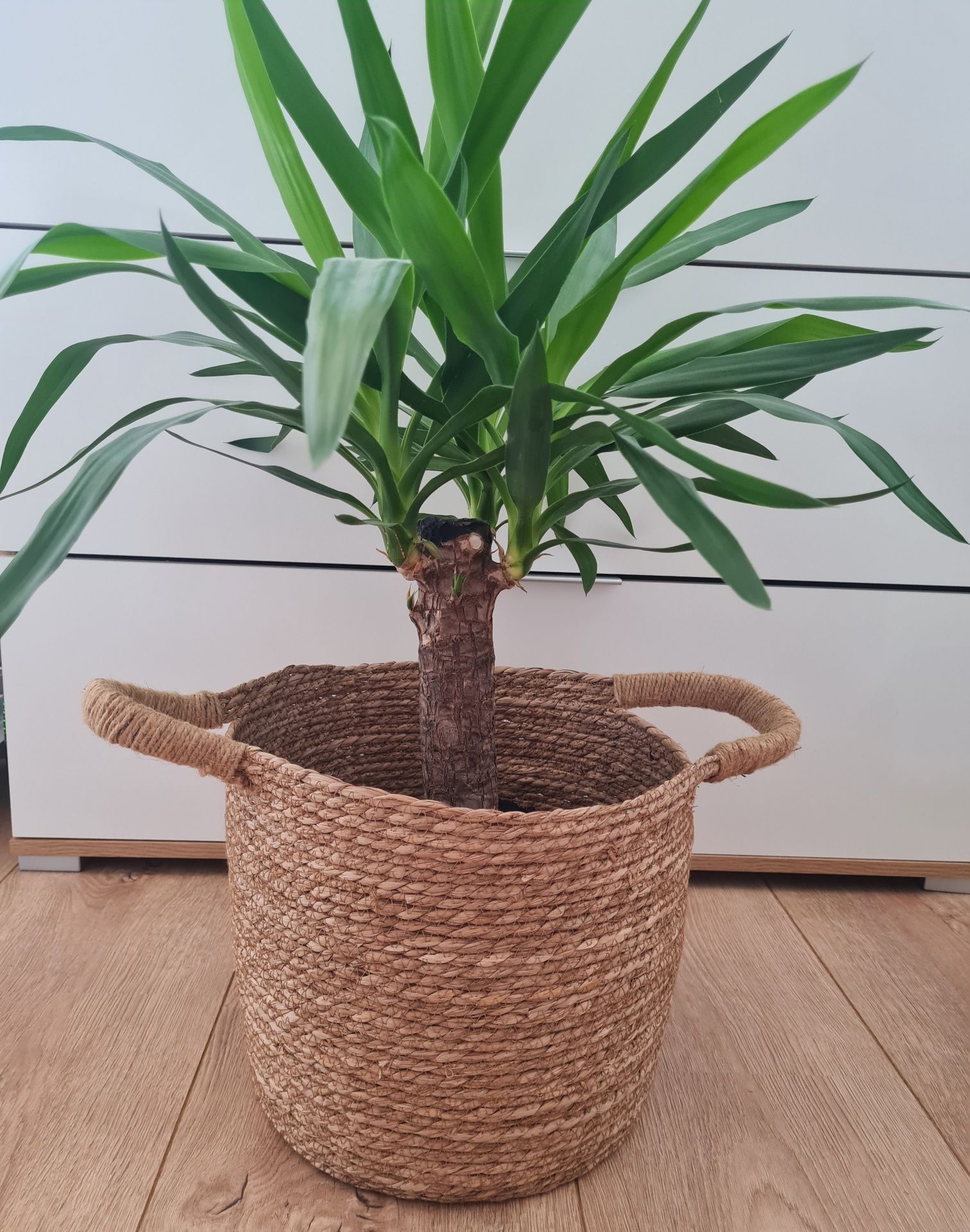 Kosz osłonka boho Homla NOWY