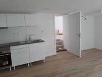 Moradia T1 Remodelada com Garagem - São Pedro de Alva
