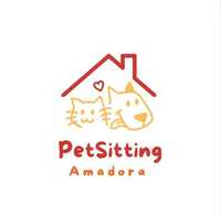Pet Sitting - Amadora (preços na descrição)