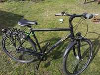 Rower Pegasus Avanti