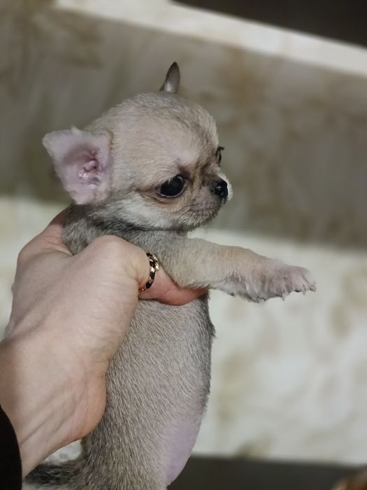 Крихітка на вас чекає мінічка