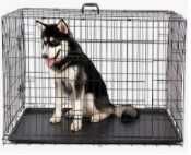 Аренда-Оренда клеток для собак и кошек-все размеры.Ми працюєм