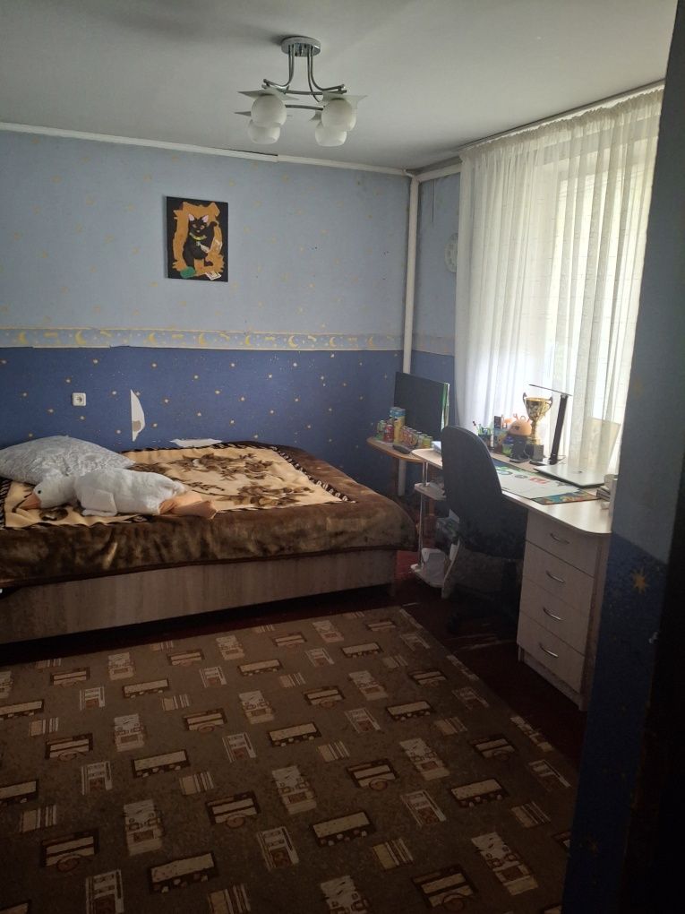 (13) Продам капітальний 2-поверховий будинок у Малодолинському