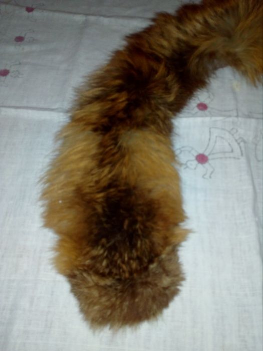 Estola em pele natural