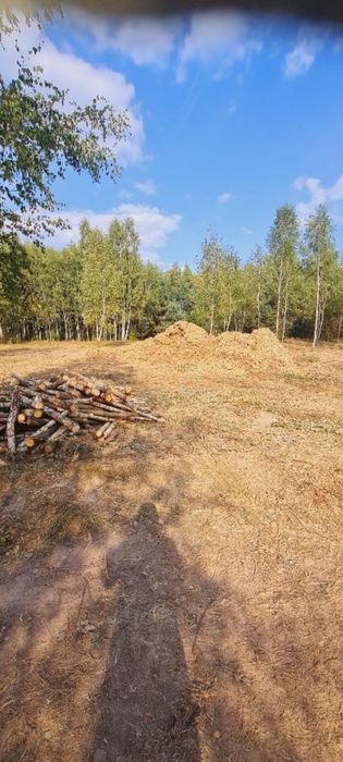 Wycinka drzew czyszczenie dzialek usługi koparko ładowarką minikoparka