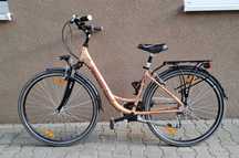 Eurobike CityWave 1.1