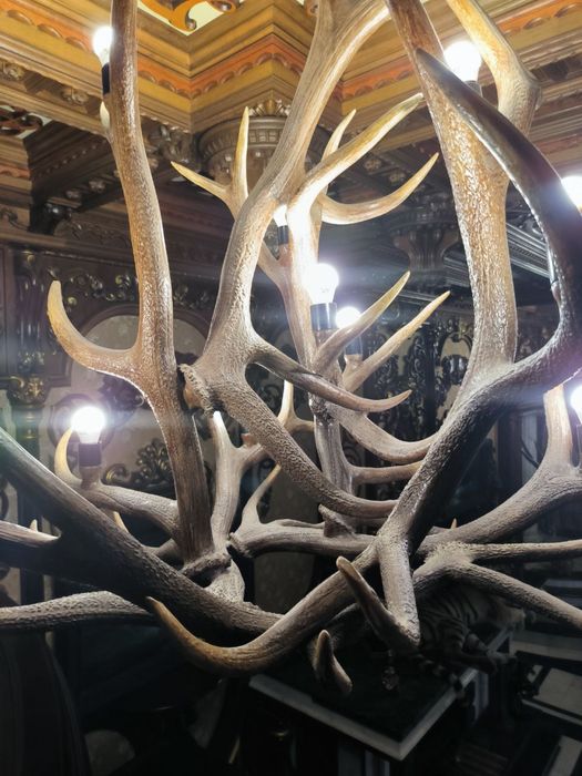 Люстри та  бра з рог  оленя