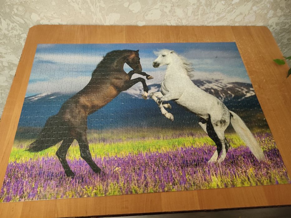 Пазли 1500 шт кіт, коні.