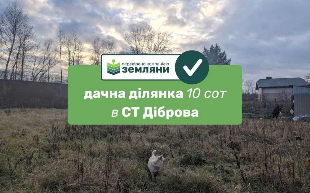 Продається дачна ділянка 10 сот в СТ Діброва (10)