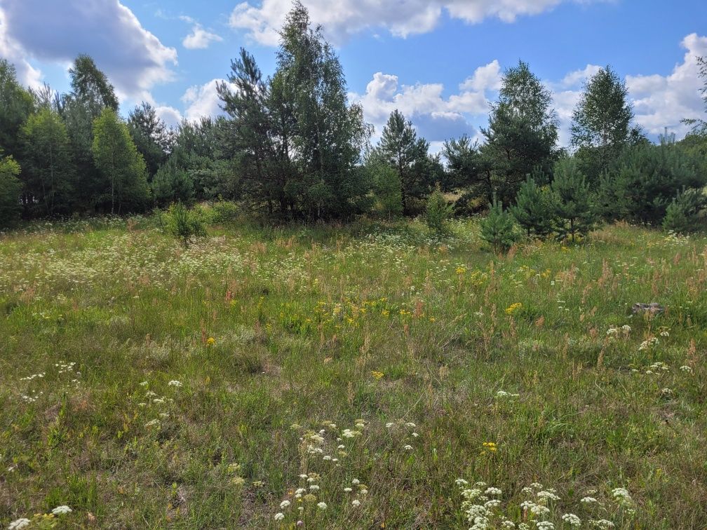 Sprzedam działkę rolną na Kaszubach w Łubianie k.Kościerzyny