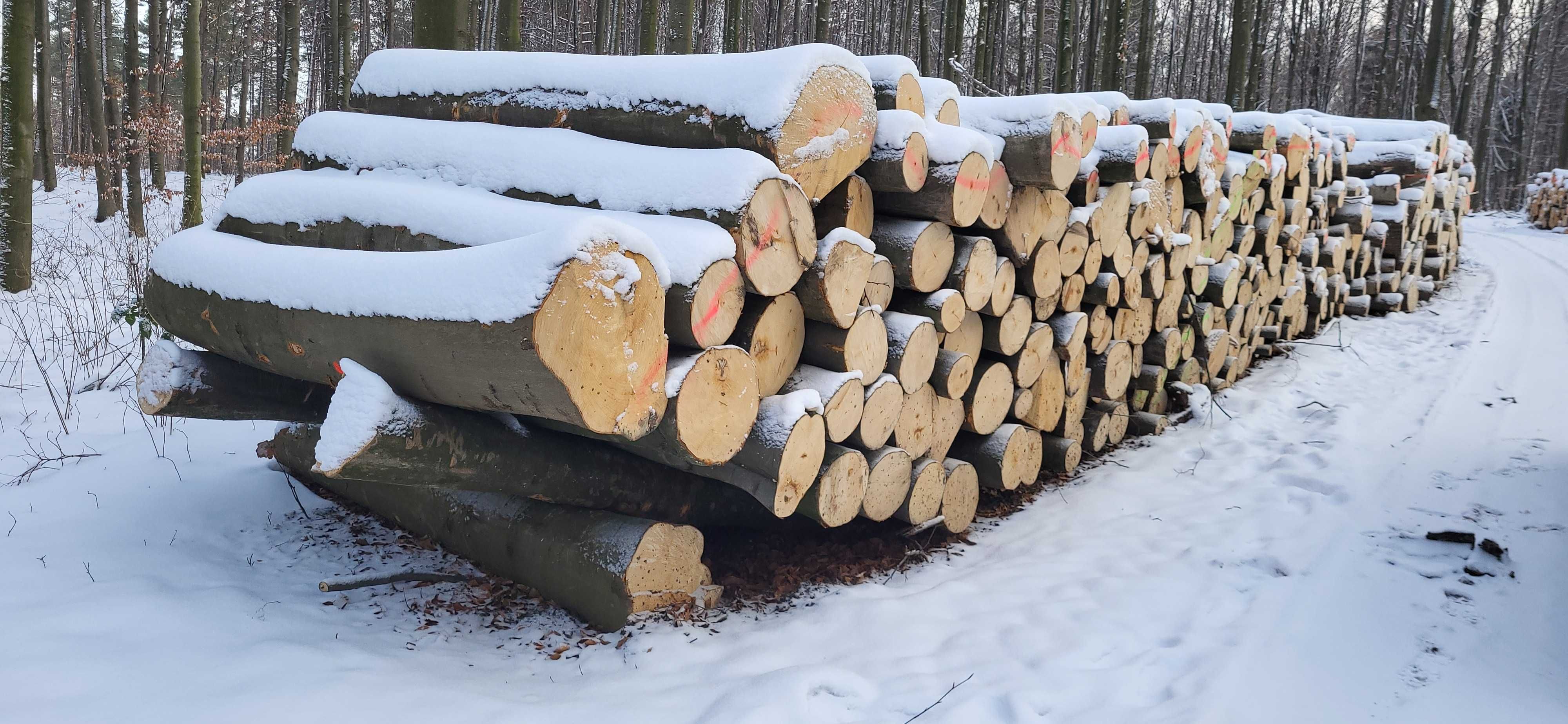 Drewno opałowe BUK, DĄB  prosto z lasu