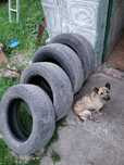 Шини літо 235/60 r16 Bridgestone