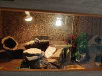 Sprzedam terrarium dla agamy brodatej.Nowe