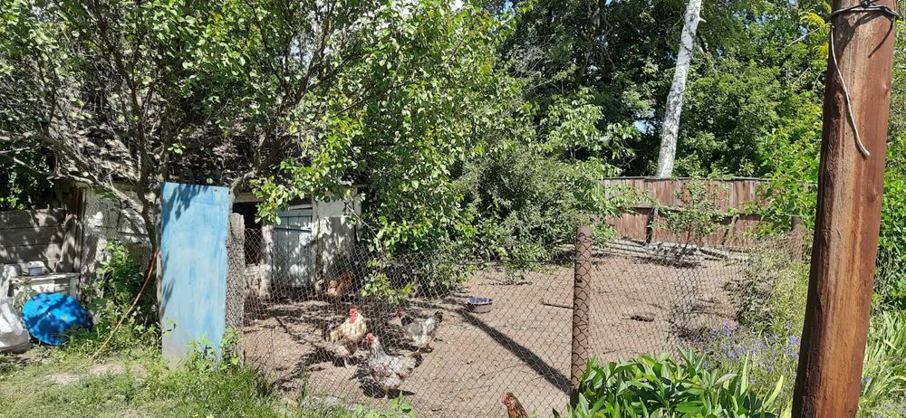 Будинок гарне розташування с.Красна Лука