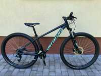 Specialized ROCKHOPPER 29" S найнеp xартейл He scott cube giant