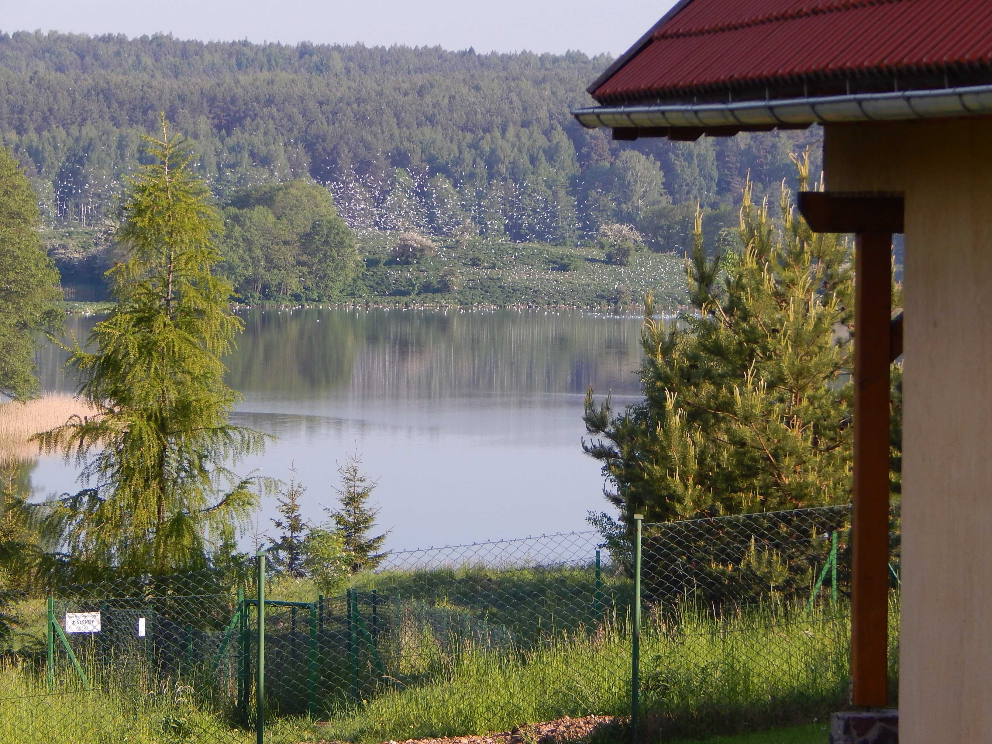 Mazury Domek z Pięknym widokiem na jezioro  WOLNY: 2-7 SIERPIEŃ