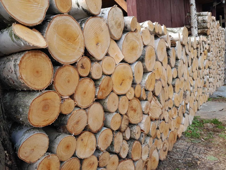 Drewno kominkowe brzoza