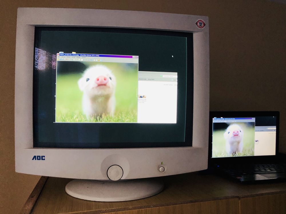 Monitor AOC 19” klasyk