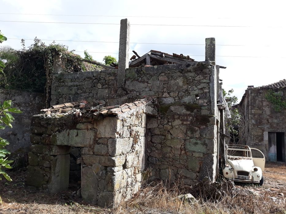 Quinta com projeto de recuperação