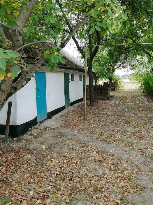 Продам будинок в селі Озірна