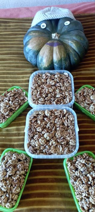 Грецький горіх «Світла бабочка»