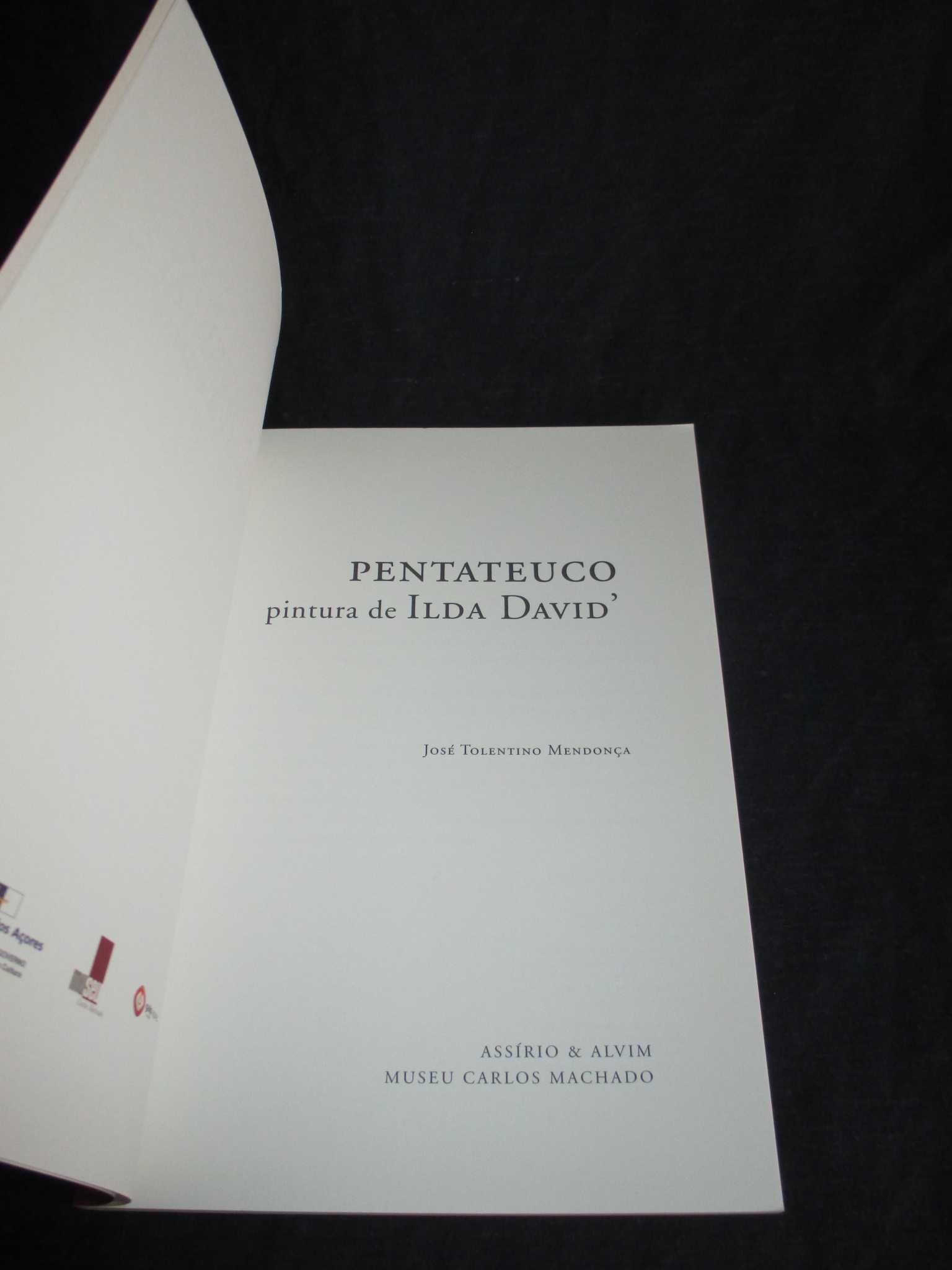 Livro Pentateuco Pintura de Ilda David' José Tolentino Mendonça