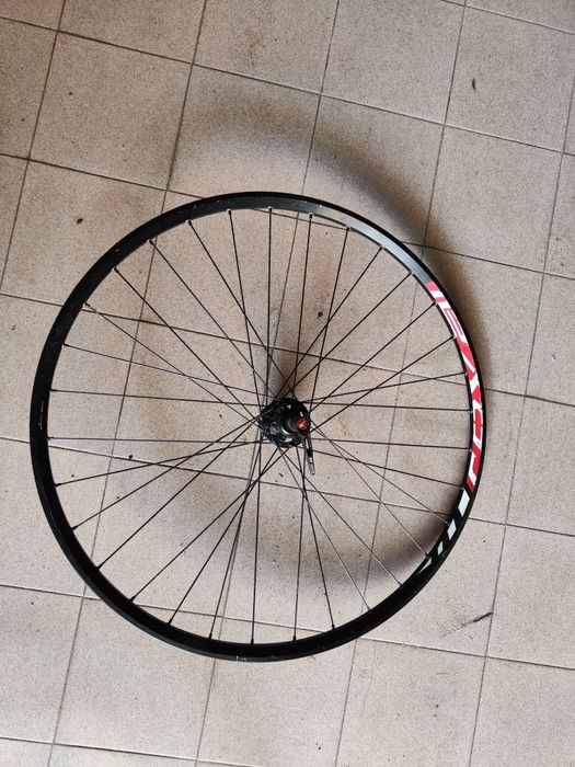 Rodas 29 Btt frente