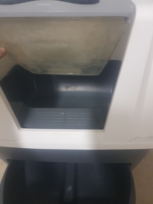 Caixa areia para gatos