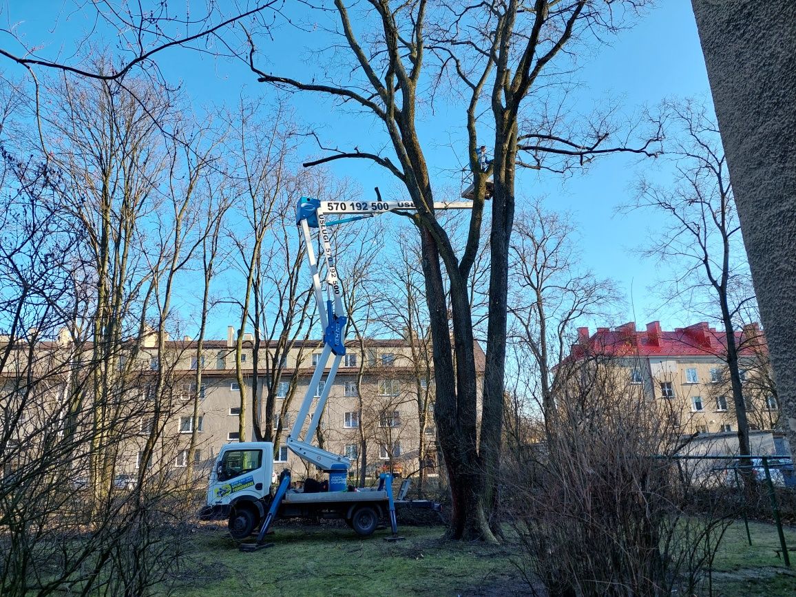 usługi podnośnikiem zwyżka podnośnik koszowy wynajem