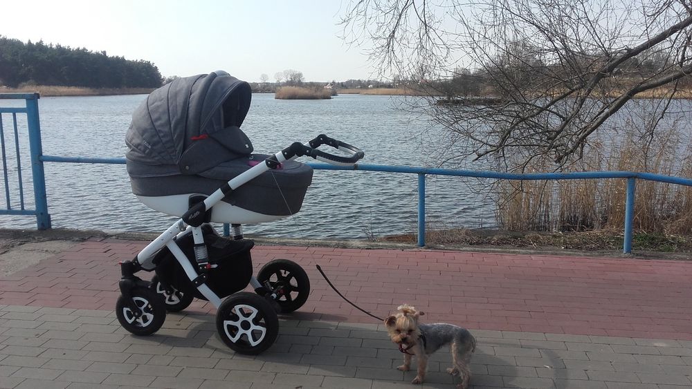 Wózek dziecięcy adamex barletta 2w1