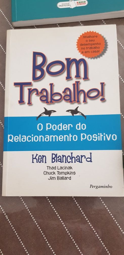 Livros de vários títulos motivacionais