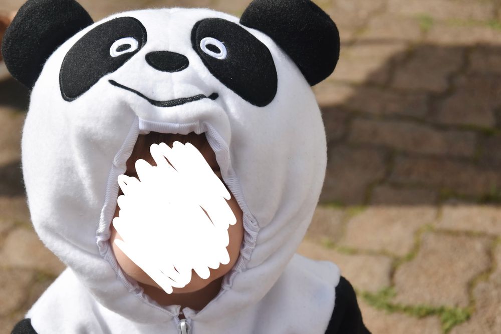 Disfarce Carnaval Panda 12-18 meses