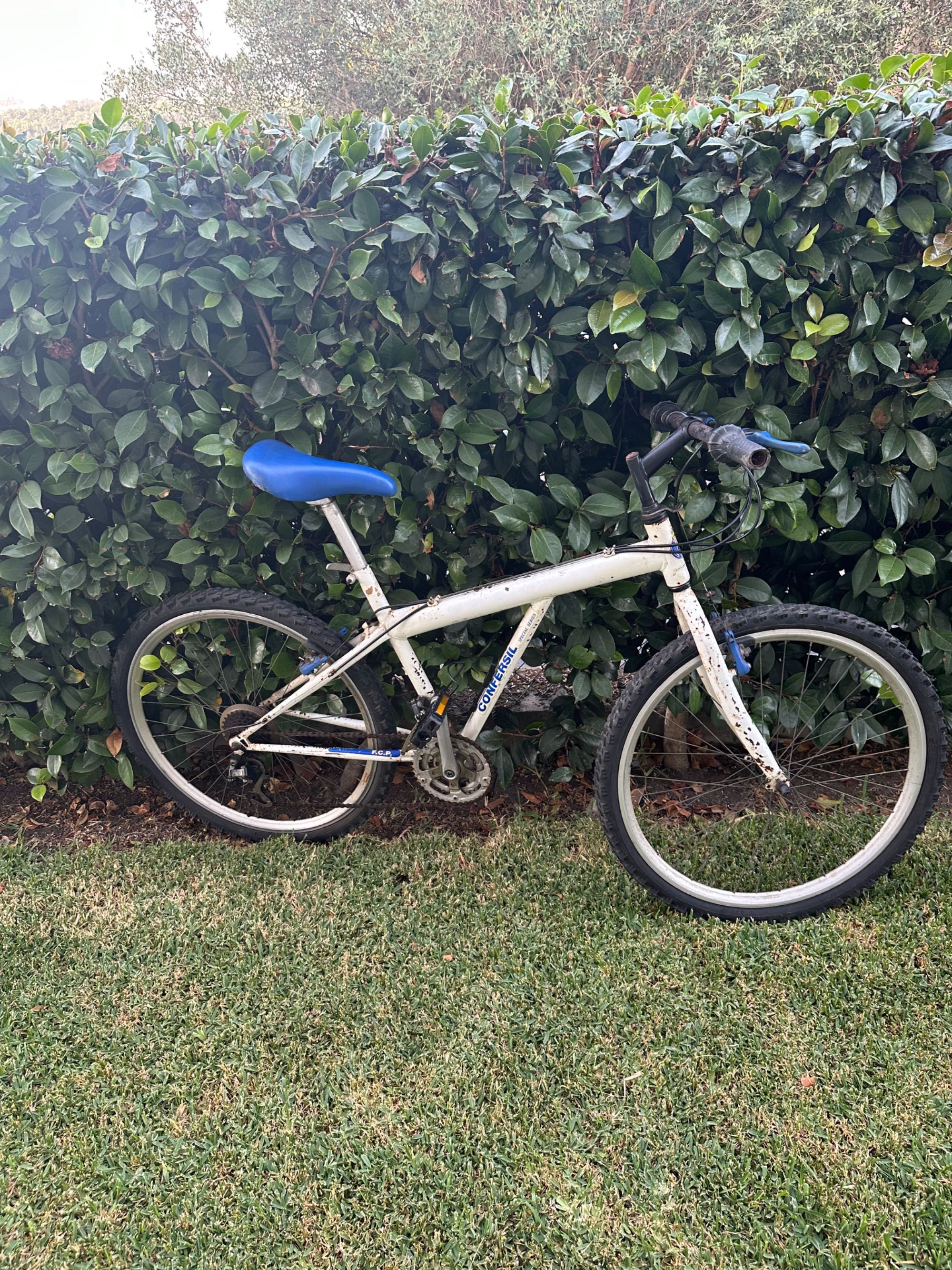 Conjunto de Bicicletas