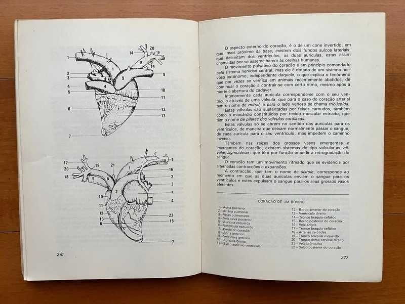 Anatomia Fisiologia e Exterior dos Animais Domésticos