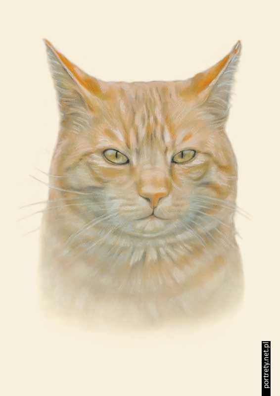Portret, Rysunek, Obraz - ze zdjęcia NA ZAMÓWIENIE - od A4 do 100x70cm