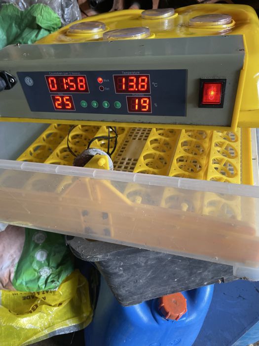 Chocadeira com viragem automatica