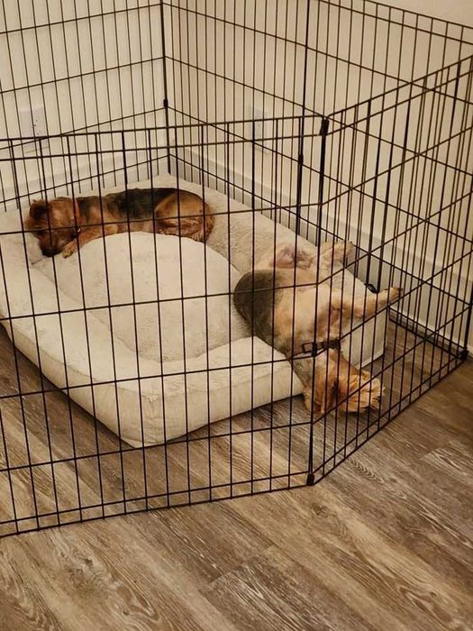 Клітка манеж с дверцятами 8-секцій для цуценят собак кішок кролика