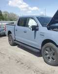 Ford F150 Lightning  двері