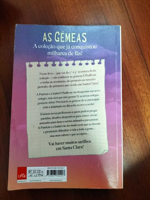 As Gémeas, O primeiro ano em Santa Clara - Enid Blyton