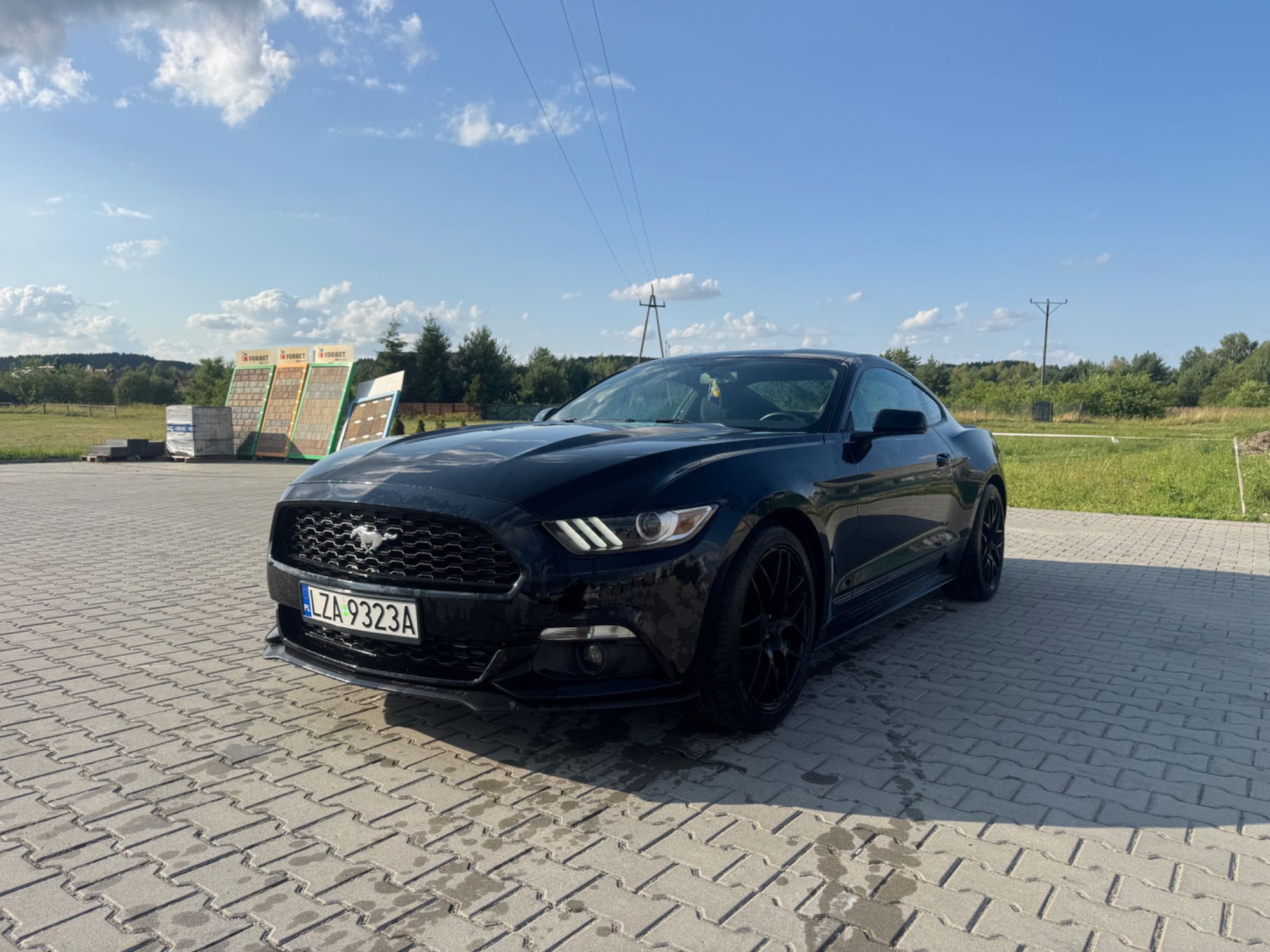 Ford Mustang 2.3 317KM 2015 rok