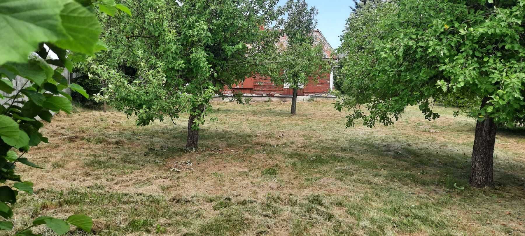 Sprzedam dużą działkę w Rybitwy 23 (Mazowieckie)