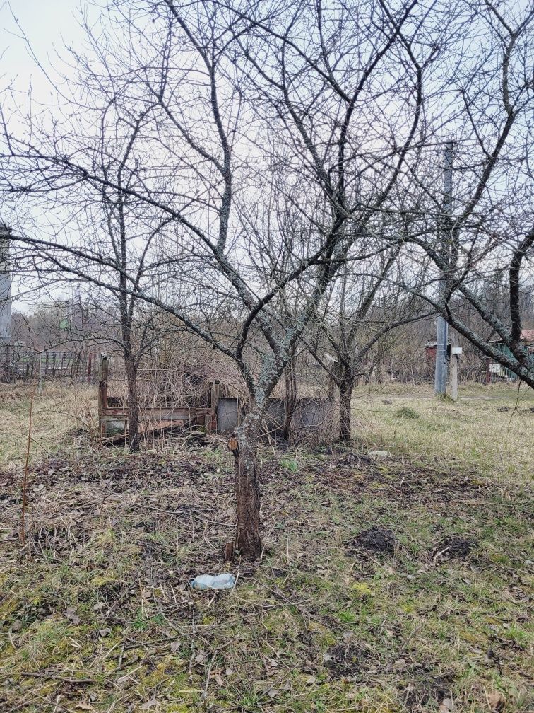 Продам ділянку 8,5 сот Новогуйвинськ с.т. "Дачне"