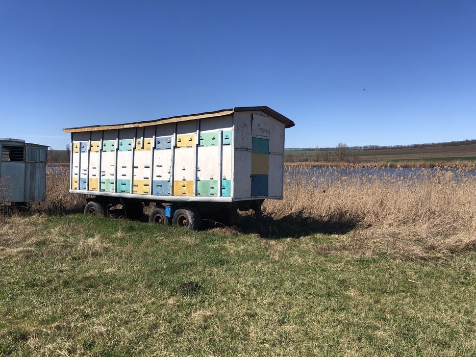 Продам пасіку кочеву