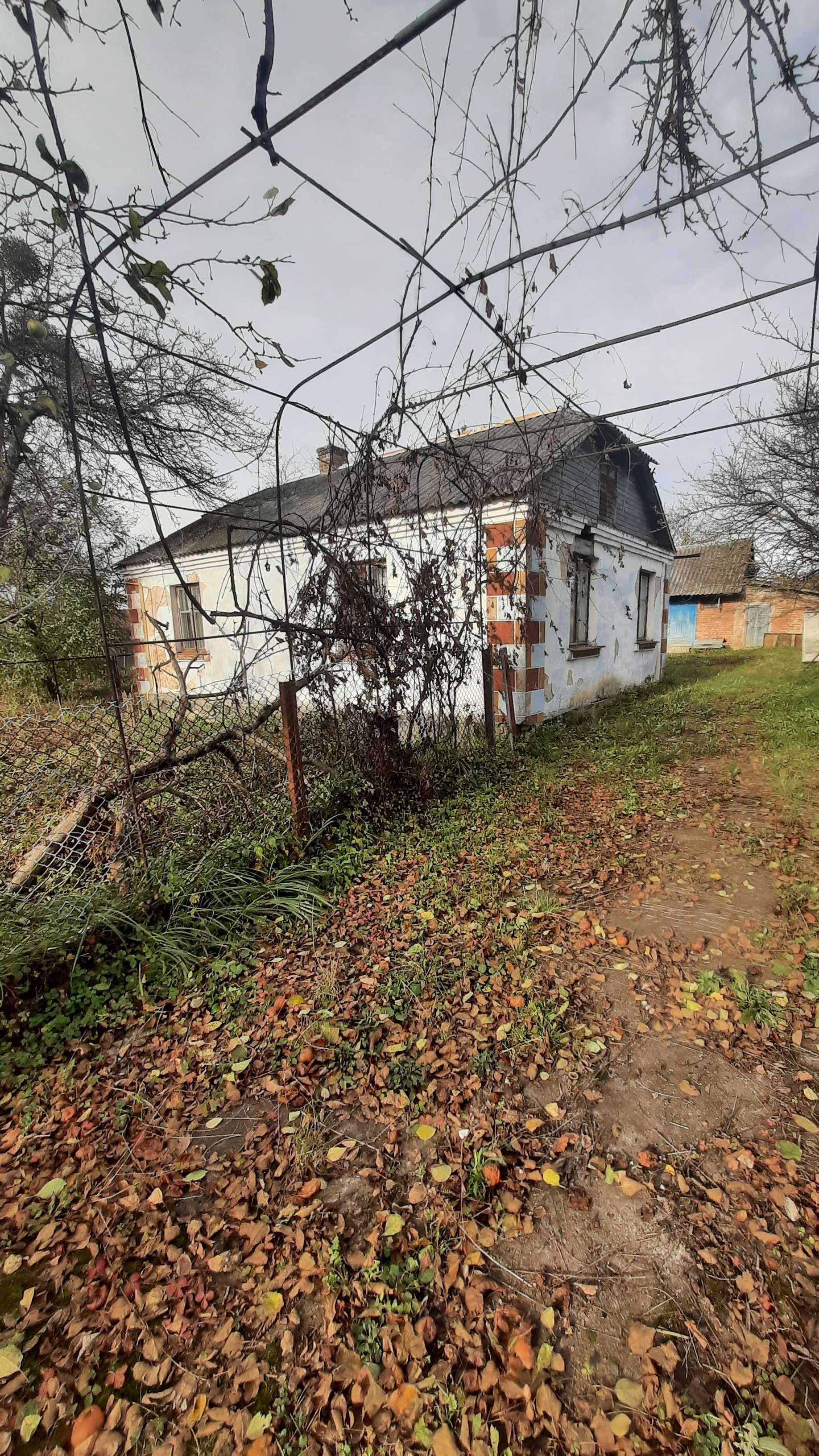 Будинок із земельною ділянкою в с. Радовичі