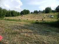 Sprzedam siano w kostkach