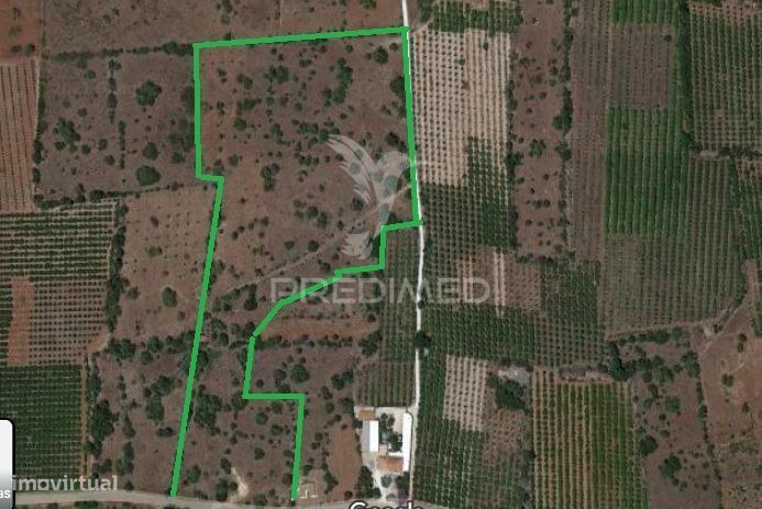3 hectares de terreno com ruína