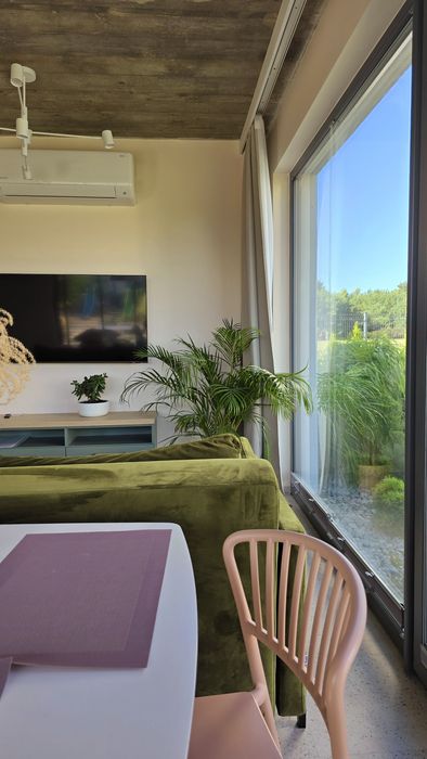 Luksusowe domki nad morzem sauna jacuzzi bilard małpi gaj